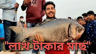 গাজীপুরের ঐতিহ্যবাহী জামাই মেলা থেকে শ্বশুরবাড়ির জন্য ৩৫ হাজার টাকার একটা কাতলা মাছ কিনলাম!!!