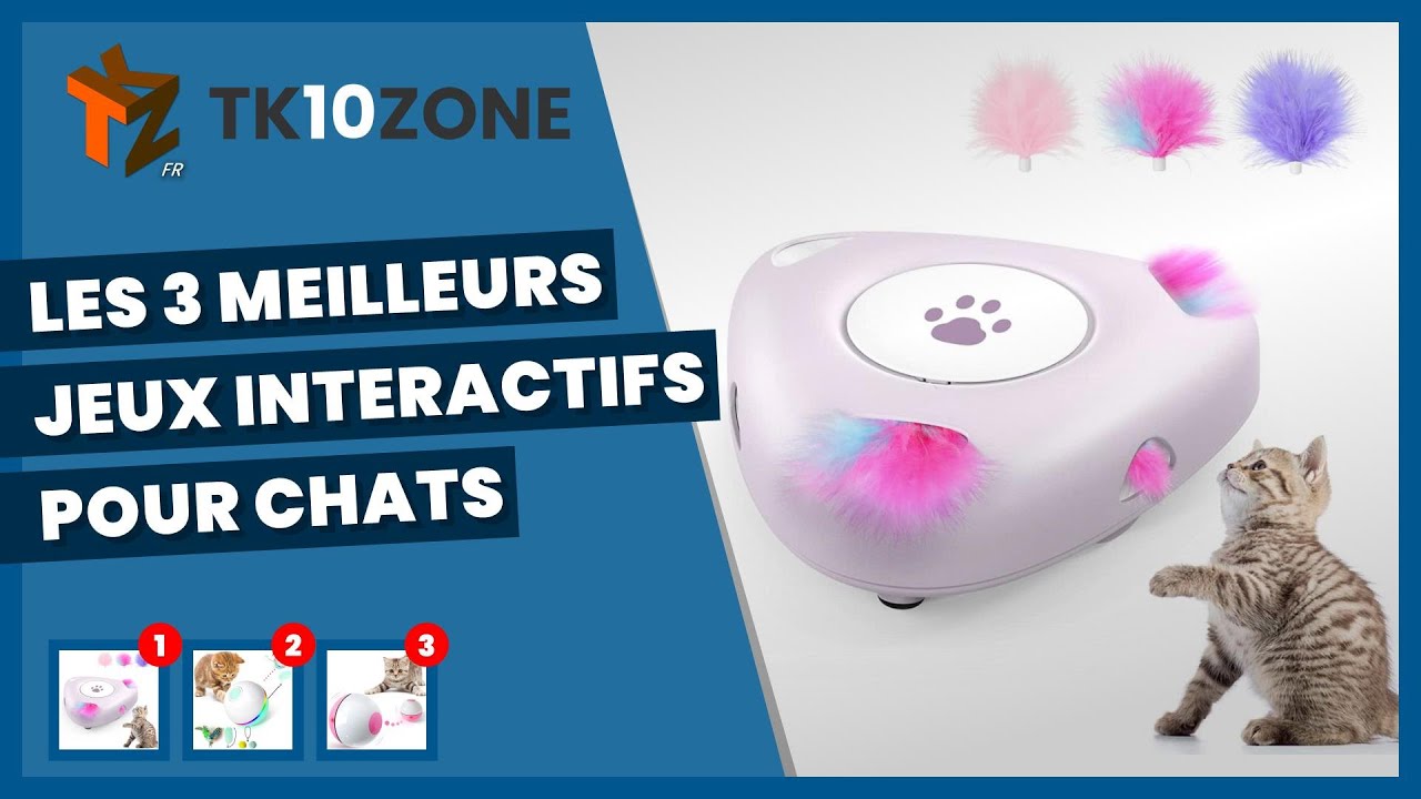 Les 3 meilleurs jeux interactifs pour chats