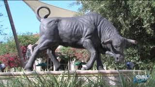 SNN: USF Consolidation meeting for public at USF- Sarasota Manatee