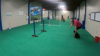 Pixie's 1rst Obedience Dedicated Drop In