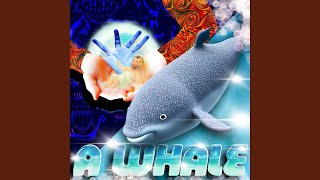 Bad boys at the corner store breaking all the rules whale house remix - HOT SINGLES IN YOUR AREA
