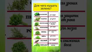 Для чего кушать зелень  #сибирскоездоровье #siberianwellness #зож#shortsvideo #зелень
