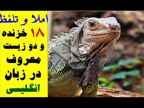 آشنایی با املا و تلفظ صحیح ۱۸ حیوان خزنده و دو زیست در کم تر از سه دقیقه.