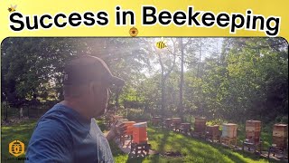Unplanned Success in my Apiary | Will 2025 Continue to be GREAT?