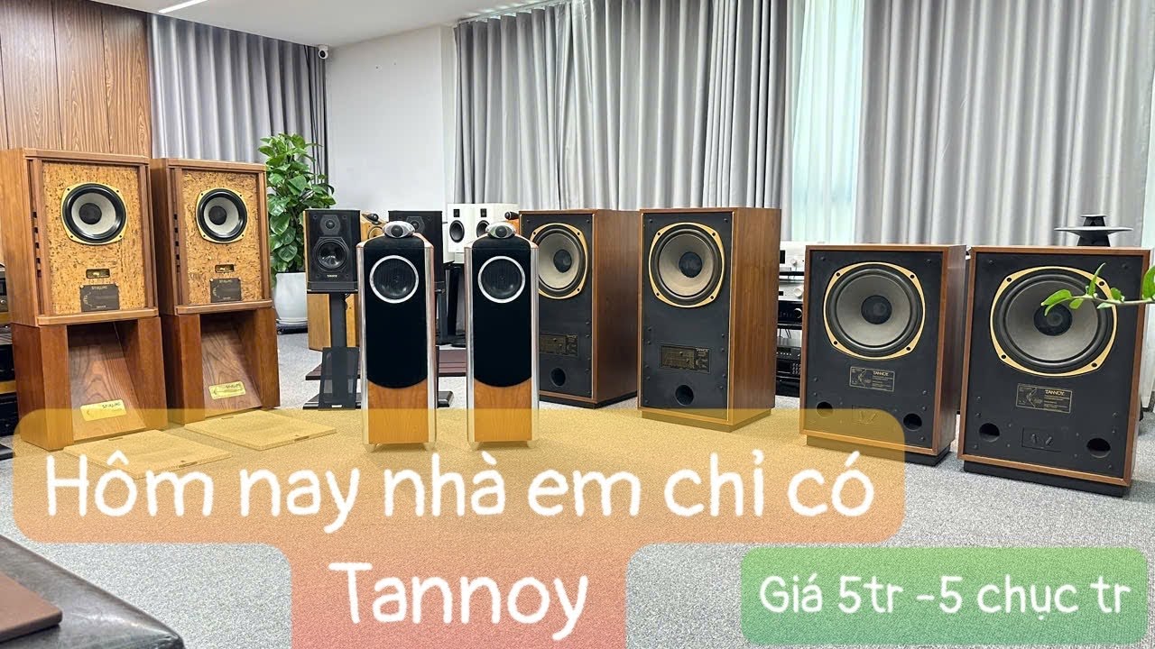 Loa Châu Âu, Tannoy 605, Tannoy Barkeley Mkii, Tannoy Arundel, Tannoy Td8, Stirling HW, Giá Từ 5 Tr
