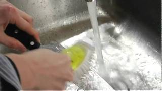 Ty the Regular Guy - Episode 2: Dishes