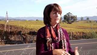 Starting A Wine Business Custom Crush Vs. Alternating Proprietor