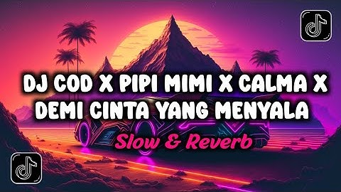 DJ COD X PIPI MIMI X CALMA X DEMI CINTA YANG MENYALA X POTONG BEBEK (SLOW + REVERB) VIRAL TIKTOK
