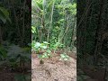 indahnya pemandangan alam #fyp