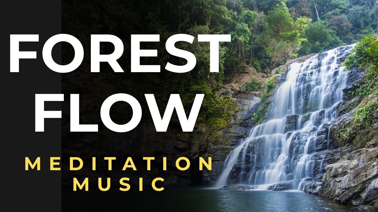 ASMR Forest Flow | Nature Sounds for Meditation, Stress Relief & Sleep ...