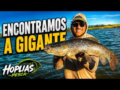 WE FOUND A GIANT WHILE FISHING FOR TRAIRA AND LARGE 4KG TORNASOL