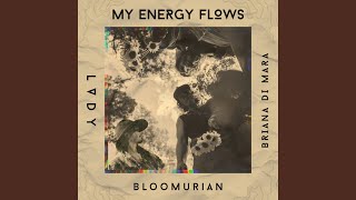 My Energy Flows