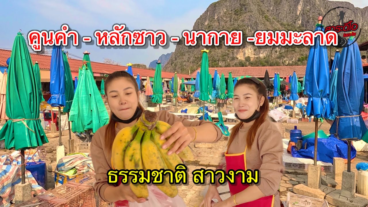 เที่ยวลาว ซื้อกล้วยใหญ่กับ ไข่มดแดง ไปฝากสาวลาว