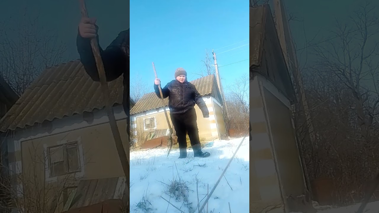 Приніс сіна