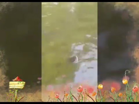 Rhoma Irama-Setetes Air Hina No Vokal