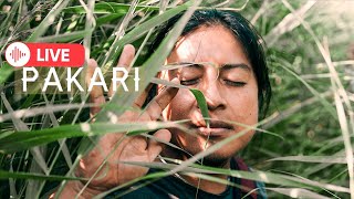 Download Lagu PAKARI- LETS ENJOY THIS MOMENT TOGETHER/ NATIVE FLUTES MP3