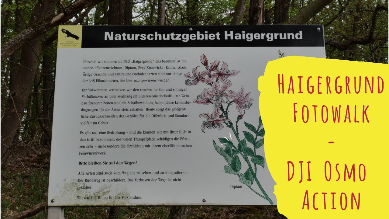 Fotowalk Naturschutzgebiet Haigergrund Königheim - DJI Osmo Action