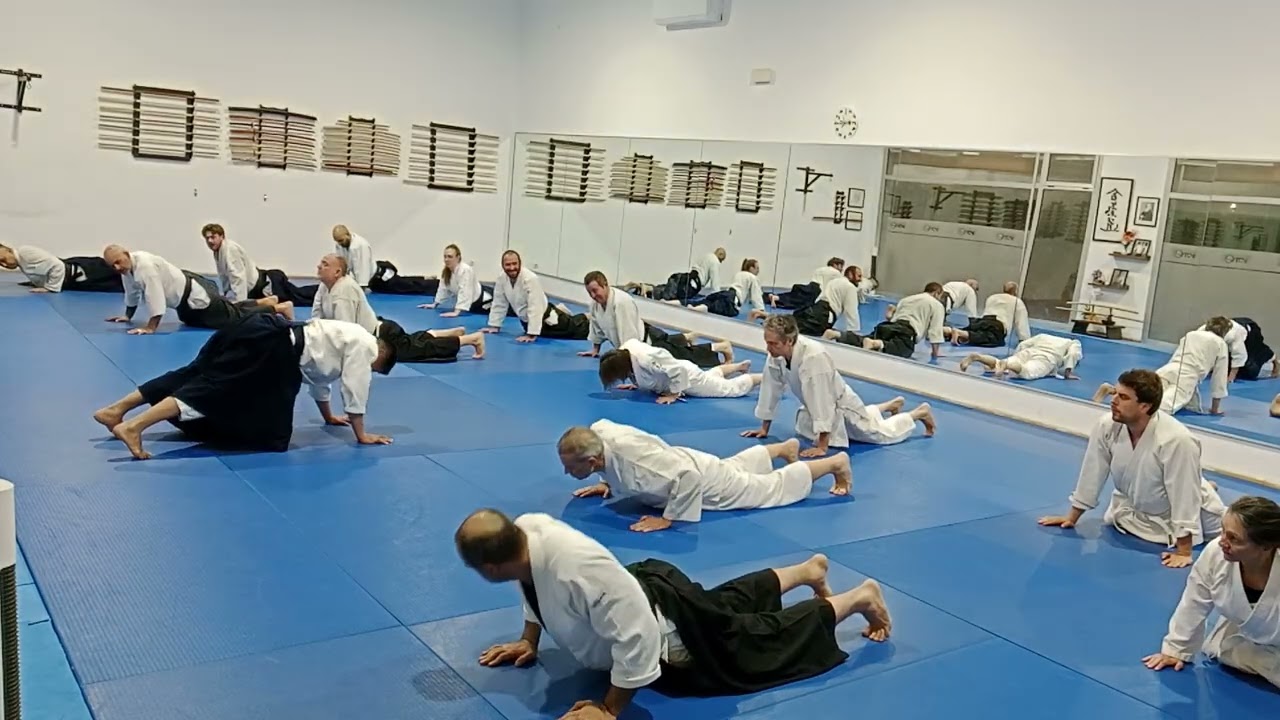 Clase de Vu Ha Sensei martes 24 de febrero del 2026 2do POV 