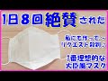 1日8回大絶賛『私にも作って♡』とリクエスト殺到！究極の大臣風マスクの作り方