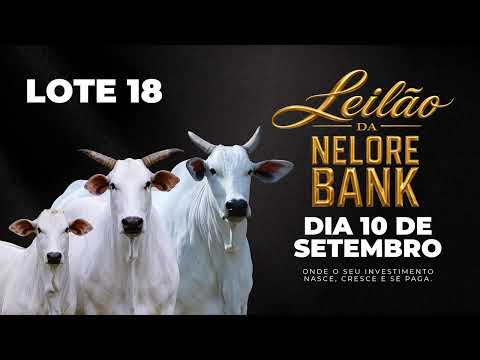LOTE 18   GSC 6643   PVJ 3794