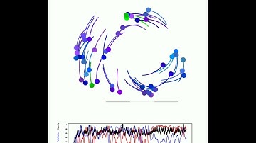 Modeling collective behaviors from optic flow and retinal cues: Video S13