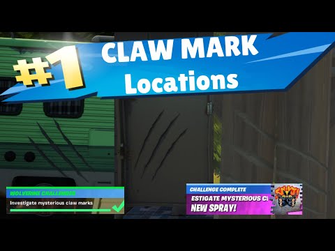 Mysterious CLAW MARKS