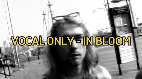 Nirvana - in bloom (vocal only)
