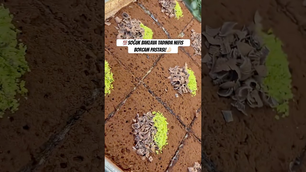 Bol Sütlü, Hafif ve Nefis Borcam Pastası #borcampastası #soğukbaklava #keşfet #yummy Bol Sütlü, Hafif ve Nefis Borcam Pastası #borcampastası #soğukbaklava #keşfet #yummy