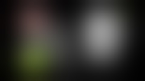 Laparoscopic Cholecystectomy using PINPOINT Endoscopic Fluorescence Imaging System