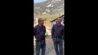 Twins Love to Perform Funny Growth Plan Content Inspiration Favorite Degree Incentive