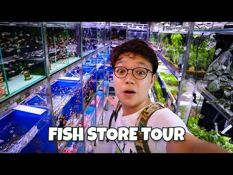 Video: Residencia exótica en Singapur: The Fish House