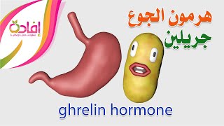 هرمون الجوع جريلين ghrelin hormone