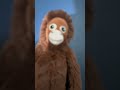 Like and subscribe