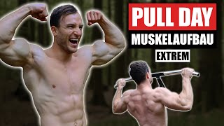 20 Min. Pull Day Für Zuhause Mit Klimmzugstange | Rücken, Bizeps - Sascha Huber