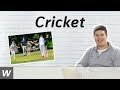 Understanding Cricket