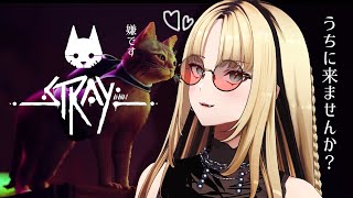 【Stray】にゃんこぉおおおおおお！！！【虎金妃笑虎】