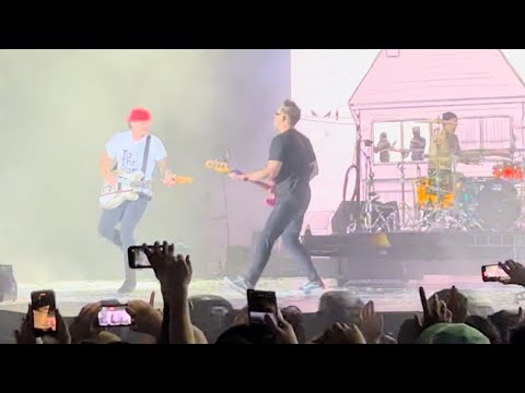 blink 182 -