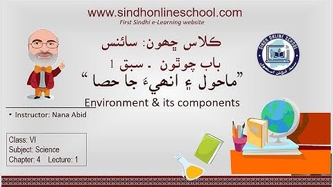 Environment Components| Science Class 6| Chapter 4| Lecture 1| by Nana Abid| Sindh Online School