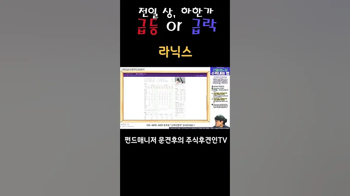 자율주행 테마주 #라닉스 #주식 #급등주 #급락주