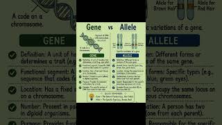 Allele v gene biology genetics basics concepts