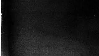 Alicks X Persocom - Momo