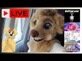 deltarune, drawing furry with chat, pokemon tcg, summer gamesfest, fursuit & vtuber