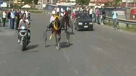 Quanto km fa un cavallo?