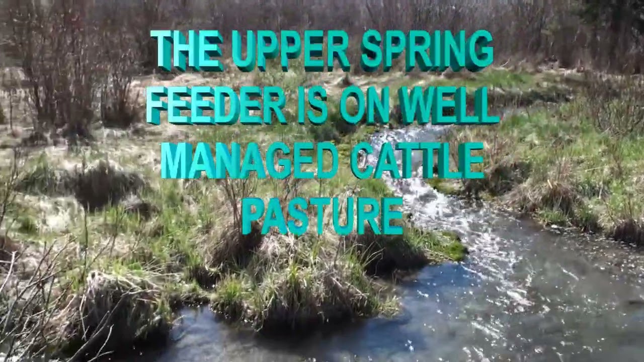 THREE SPAWNING TRIBUTARIES OF THE BIGHILL CREEK 2014