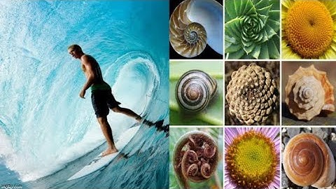 Intelligent Design - The Fingerprint Of God RELOADED - Shaking My Head Productions