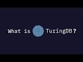 TuringDB - A new fast graph database engine - The Engineering Discussion @CTO Remy Boutonnet