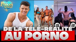 DE LA TÉLÉ-RÉALITÉ AU PORNO - YouTube