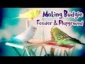 Making Budgie Feeder & Playground | Parakeet