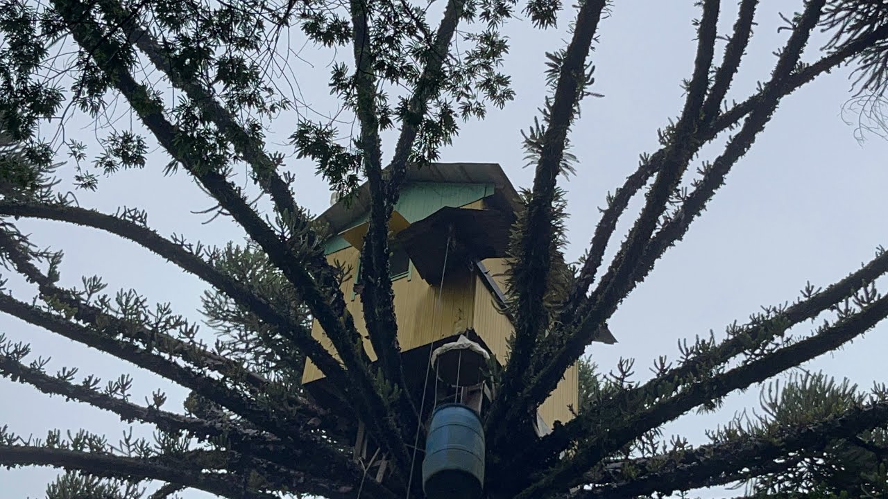 HOMEM COM 75 ANOS FEZ SOZINHO NO SÍTIO AGORA A NASA VEM-SEU LUIZ