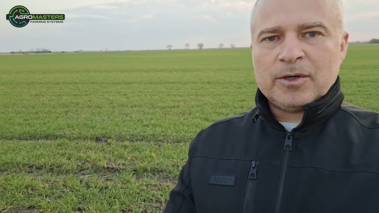 Őszi kalászosok és repce tavaszi állapot felmérése, növény élettani folyamatainak támogatása Actiroot és Nutri Cu 120 kombináció segítségével a gyökéraktivitásért és a növények jó kondíciójáért. Repce lombtrágyázás Actiroot, Actival Oilmax megválasztásával a tápanyag hasznosulásért, anyagcsere folyamatok megfelelő működéséhez.